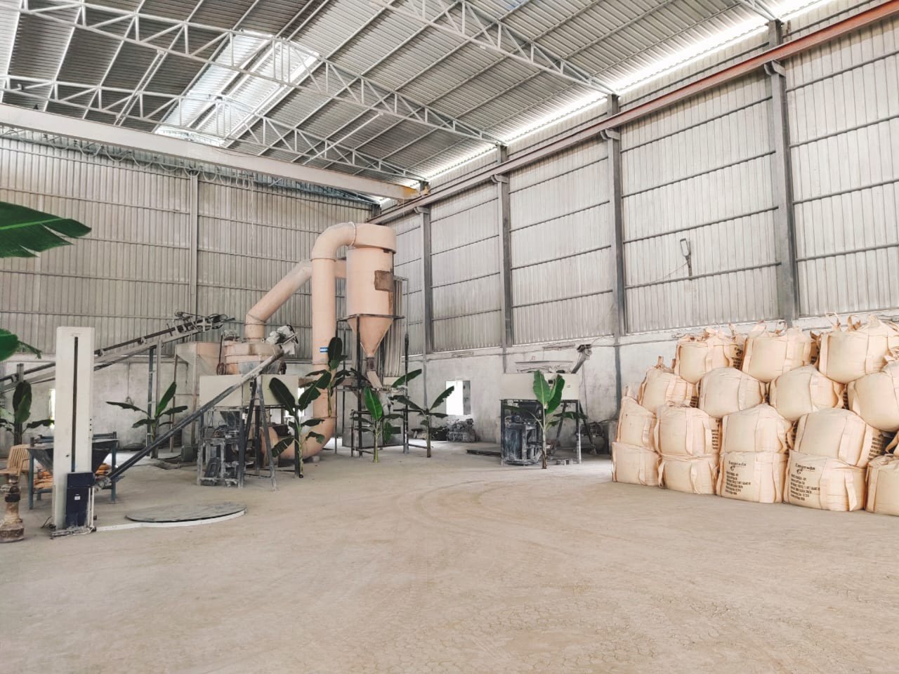 Divonex capacity-backed supply for B2B buyers